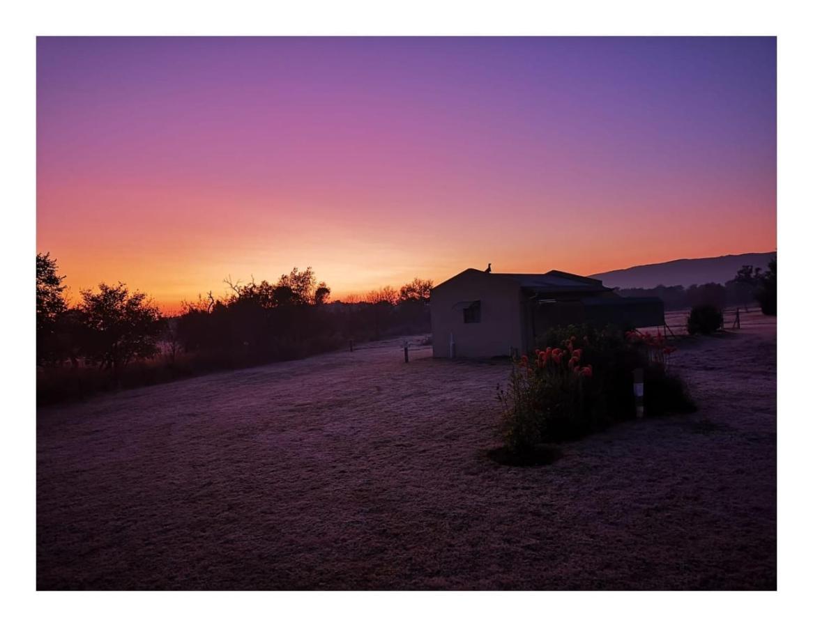 Votadini Country Cottages ماغاليسبورغ المظهر الخارجي الصورة